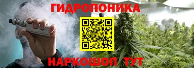 спайс Будённовск