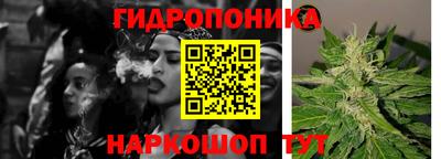 спайс Будённовск
